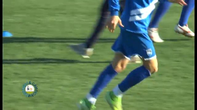 Cuccioli & Campioni con Edgar Elizalde del 21/02/2020 смотреть онлайн