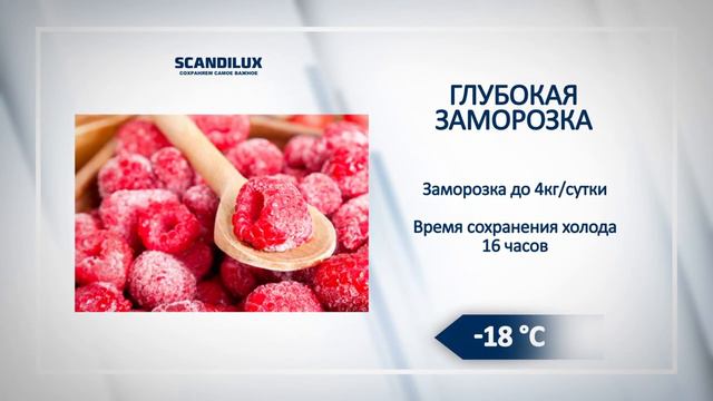 Обзор морозильника Scandilux F 064 W смотреть онлайн
