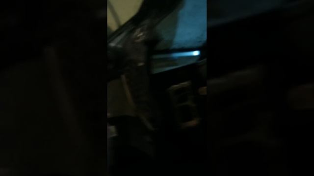 Test RF PBR300+FOCAL