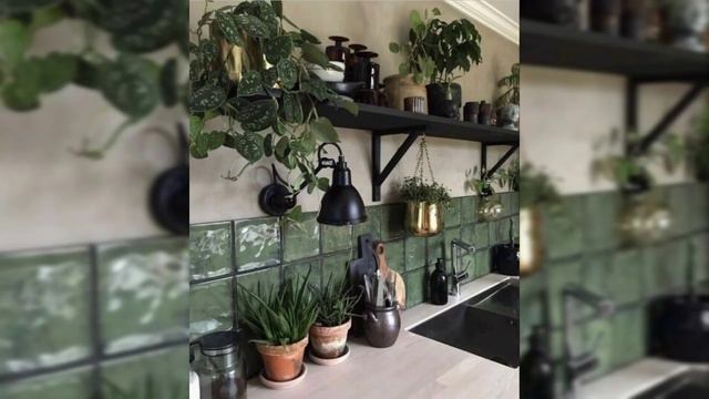 How Plants Communicate смотреть онлайн