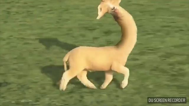 шалeна коза смотреть онлайн