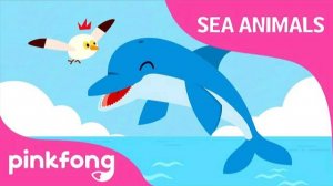 Click Click Dolphin | Sea Animals Song | Dolphin Song | Pinkfong Songs for Children