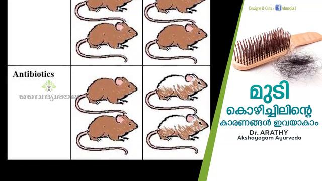 മുടികൊഴിച്ചിൽ കാരണങ്ങൾ | മുടി കൊഴിച്ചിൽ മാറാൻ | Hair Loss Malayalam | മുടികൊഴിച്ചിൽ മാറാൻ എണ്ണ смотреть онлайн