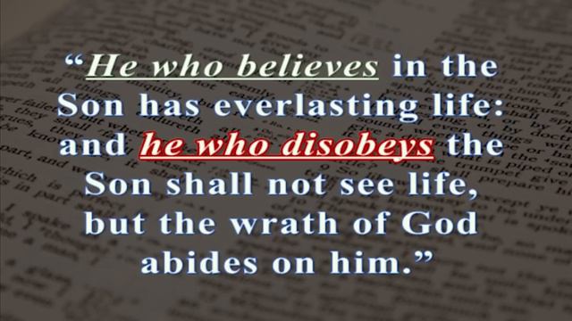 The Key to John 3:16 смотреть онлайн