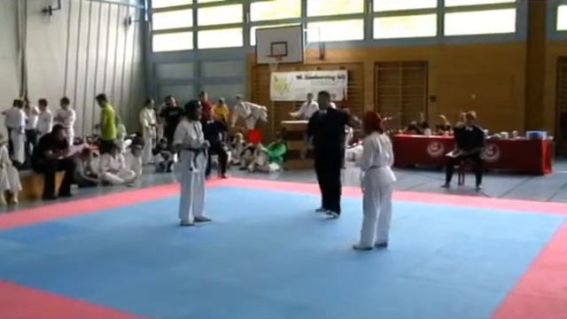 Kyokushin Lithuanian in Swiss Open 2008 смотреть онлайн