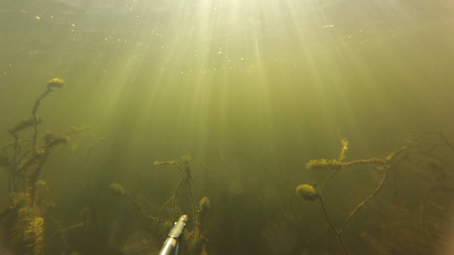Подводная охота - прудик в деревне смотреть онлайн