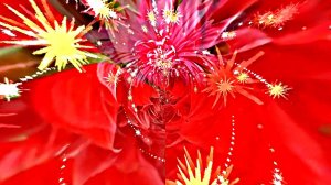 Футажи!!! Видеофоны! Видеофон Осенняя цветочная фантазия 2 от Киностудии Мудрого Кота Тимофея!