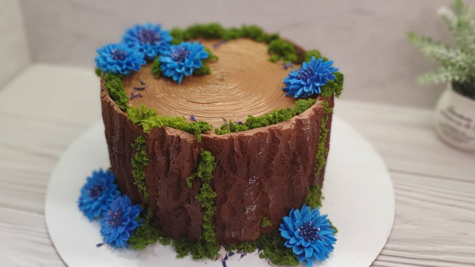 Торт-Пенёк с васильками! смотреть онлайн