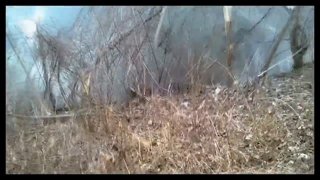 Killself Kevorkian-The Beaver смотреть онлайн