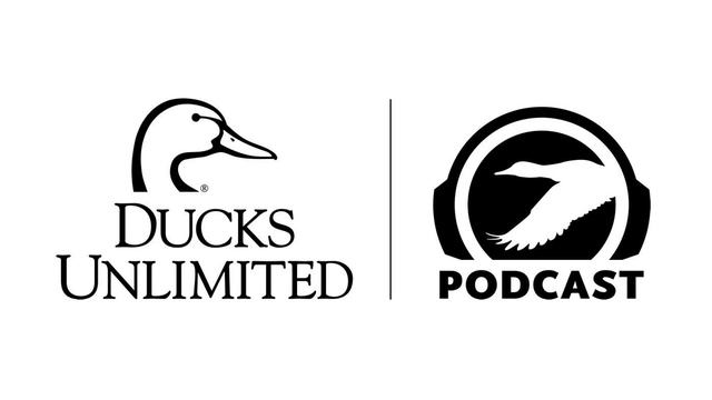 Ep. 462 – Fantastic Fowl Facts смотреть онлайн