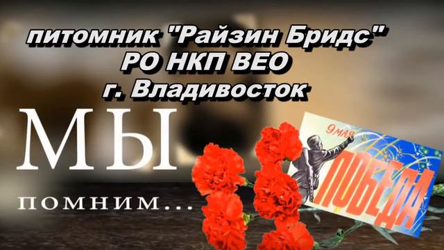 Проба1 смотреть онлайн
