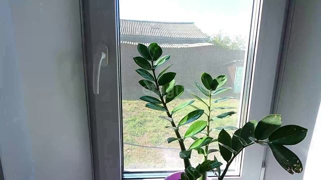 GH010849.MP4 смотреть онлайн
