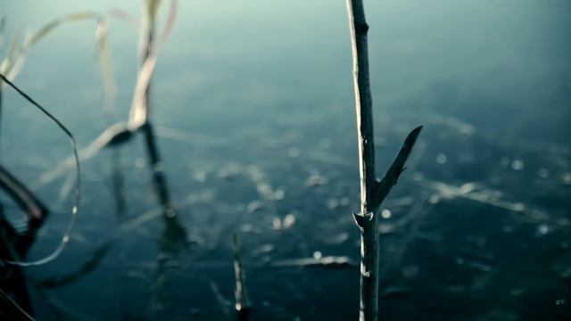 2077 - 10 Seconds to the Future | Global Estrangement | Free Documentary смотреть онлайн