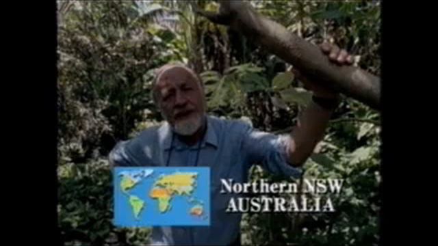 Permaculture One Bill Mollison смотреть онлайн