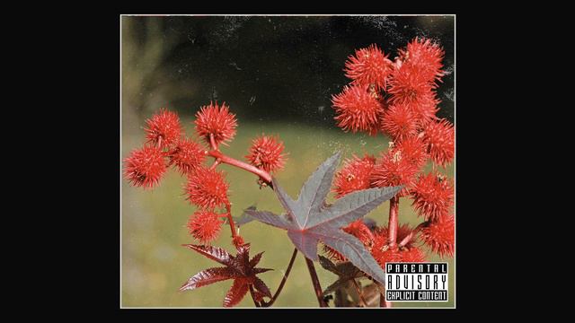 (FREE) Reason x ScHoolboy Q Type Beat - "Wild Bloom" смотреть онлайн