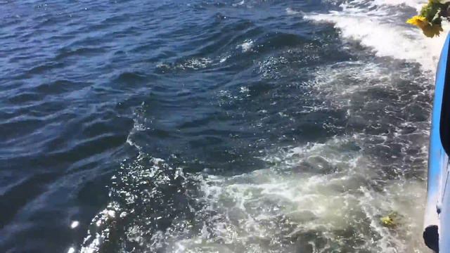 Travesía de la Habana a regla en la lanchita. Bella Habana смотреть онлайн