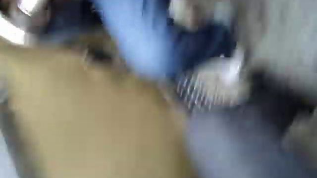 Play com locos com geones e Bruno e grasi e familia maluca смотреть онлайн