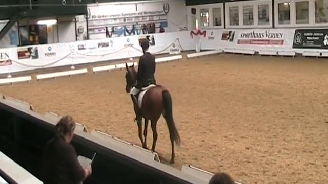 Turnier 2008 Salzkotten смотреть онлайн