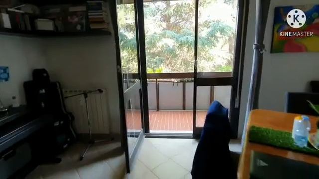 Via Gaetano Butera. Prenota subito il tuo appuntamento allo 065071220 смотреть онлайн