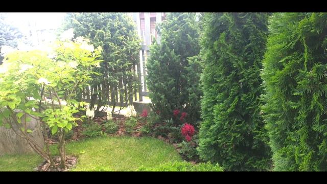 Берег Хонки 2015-2016. Ландшафтный дизайнер Стелла Савичева. смотреть онлайн