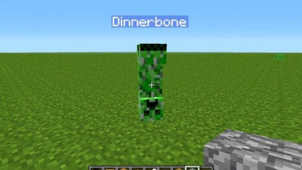 Minecraft Name Tag Tricks You Should Know | Minecraft Name Tags | Tips & Tricks