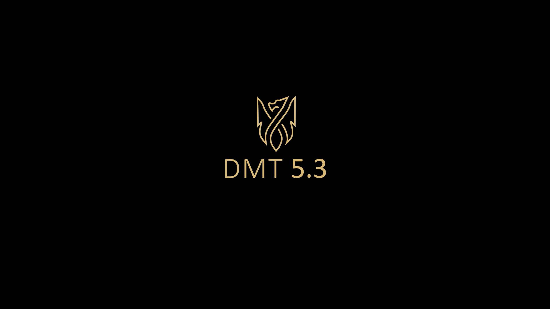 Пример видеозаписи DMT 5.3 (1) смотреть онлайн