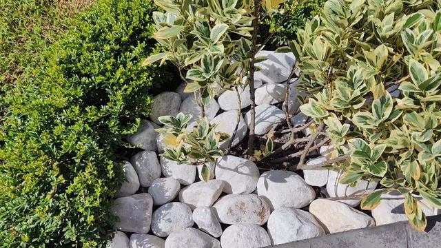 КАМНЯ МНОГО НЕ БЫВАЕТ! Продолжаем наводить красоту!