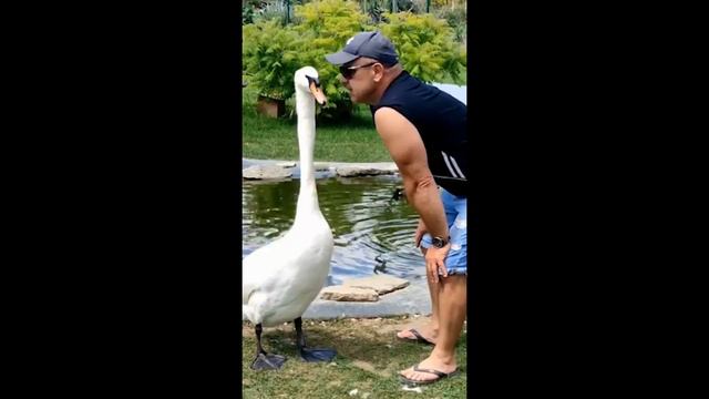 Это любовь смотреть онлайн