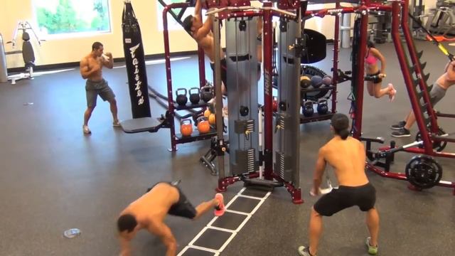 Студийная функциональная рама HOIST MCS-8005 Motion Cage смотреть онлайн