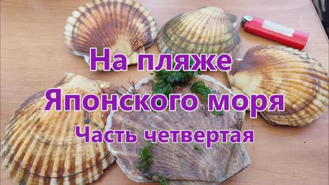 На пляже Японского моря. Часть четвертая.