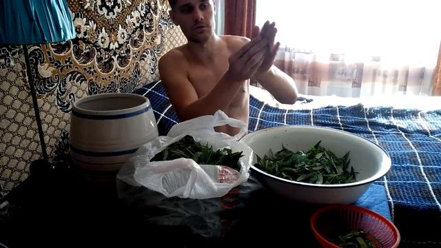 Звездный путь: путь к славе и любви