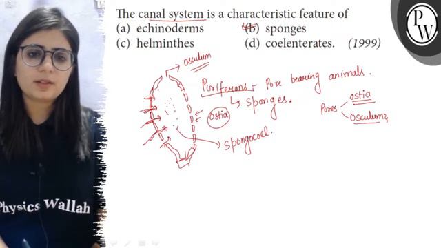 The canal system is a characteristic feature of
(a) echinoderms
(b)... смотреть онлайн