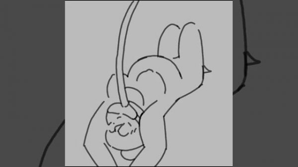 inflation animation test