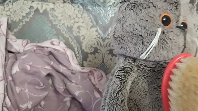 день басика 😼😼🐱🐱🤣🤣🤣 смотреть онлайн