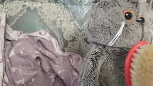 день басика 😼😼🐱🐱🤣🤣🤣