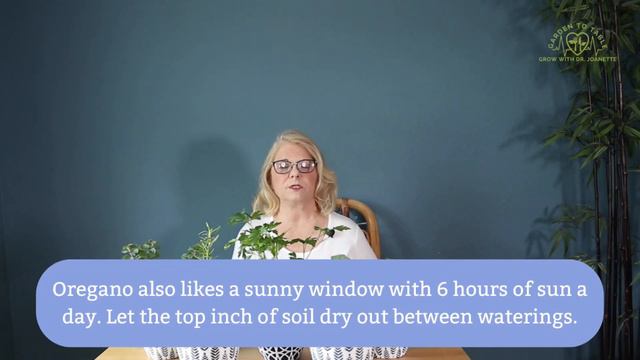 Grow Herbs Indoors: Healthy Mind and Home смотреть онлайн