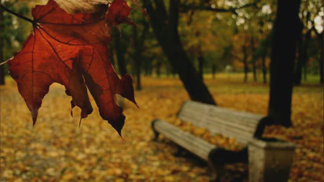 Ну вот и всё смотреть онлайн