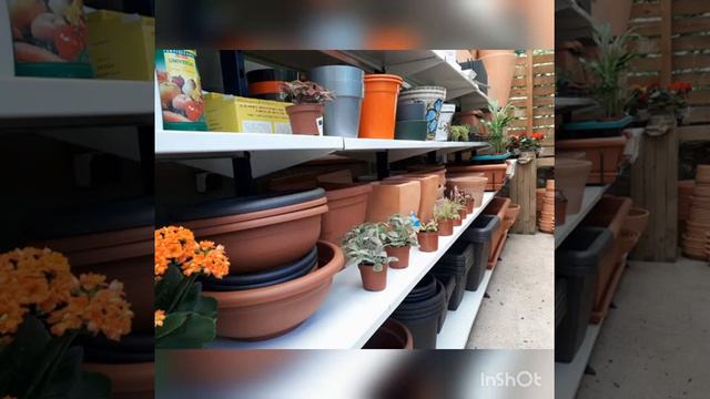 Vista virtual al Garden смотреть онлайн