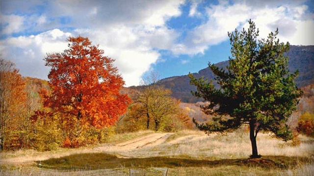 MICHAEL LANDON - Careless love смотреть онлайн