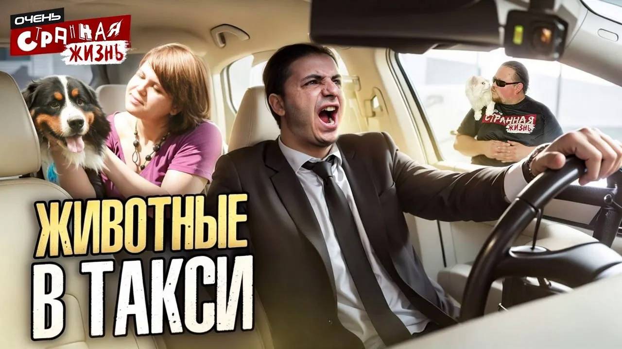 ЖИВОТНЫЕ в ТАКСИ или люди - животные: На что люди идут ради экономии на такси. ТАКСИСТЫ опять в шоке смотреть онлайн