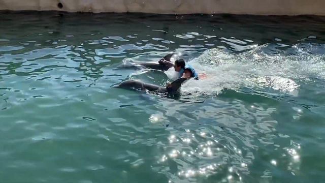 РОБЕРТ ТОНИЕВ "ДЖАН ДЖАН ДЖАН" смотреть онлайн