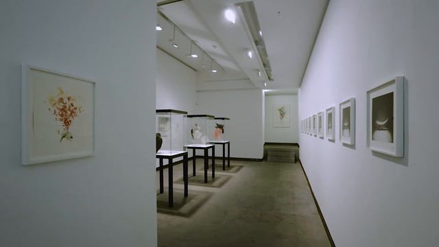 CLAIRE MORGAN, Galerie Karsten Greve Paris, October 16 - December 23, 2021 смотреть онлайн