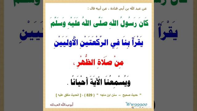 عن عبد الله بن أبي قتادة ، عن أبيه قال : كان رسول الله صلى الله عليه وسلم يقرأ بنا في الركعتين смотреть онлайн