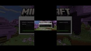 как сделать скин бесплатно для Майнкрафта 1.21