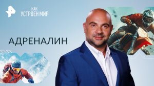 Адреналин — Как устроен мир с Тимофеем Баженовым (15.09.2023)