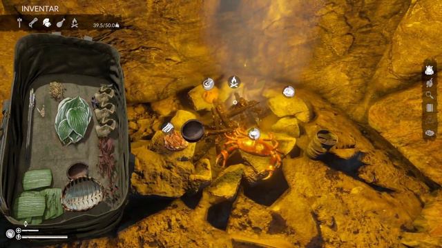 Ungeliebte Gesellschaft - Green Hell (2023) смотреть онлайн