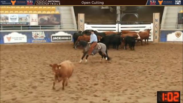 NCHA 2014 National Finals. Open Cutting, One Roan Peptos & Heath Sinclair. смотреть онлайн
