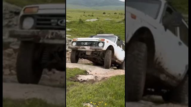 НИВАжно где дорога #offroad #nivaoffroad #niva4x4 #mountains смотреть онлайн