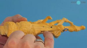 Пример операции SCARF с объяснениями