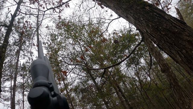 THIS IS CRAZY!! Scouting Big Lazer WMA. смотреть онлайн